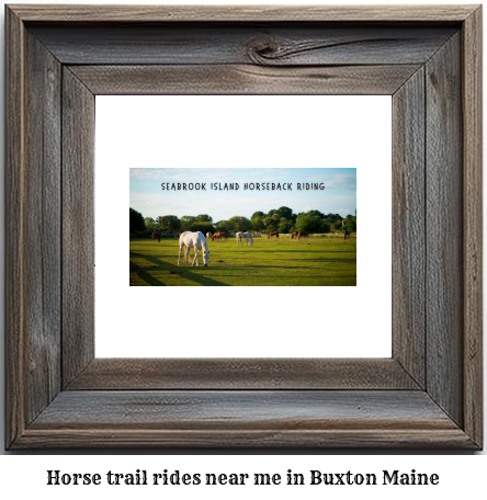 horse trail rides near me in Buxton, Maine